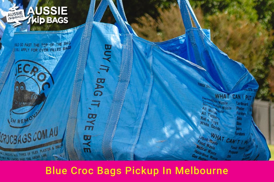 Blue Croc Bag Collection Article feature image