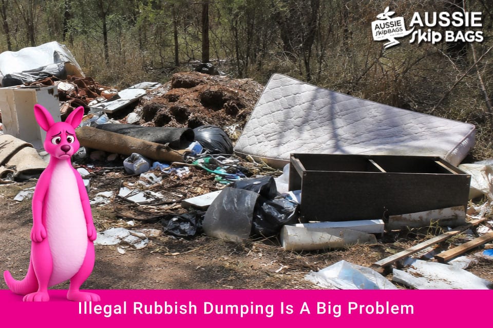 Illegal Rubbish Dumping in Australia article feature image